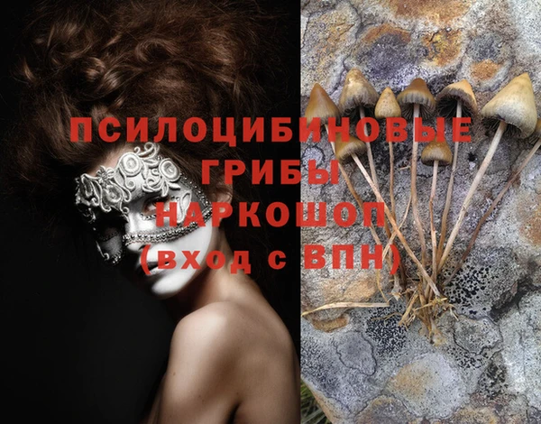 мет Белокуриха