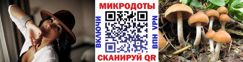 магазин  наркотиков  Малая Вишера  Псилоцибиновые грибы Magic Shrooms 